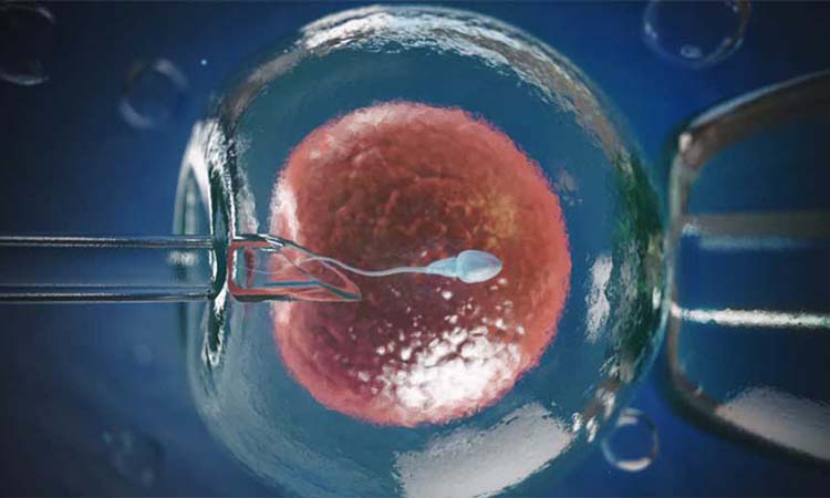 Best IVF Doctors in Hubli with High Success Rate 2022