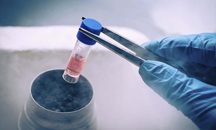 Best IVF Centres in Surendranagar, Gujarat, Cost of IVF in Surendranagar, Gujarat