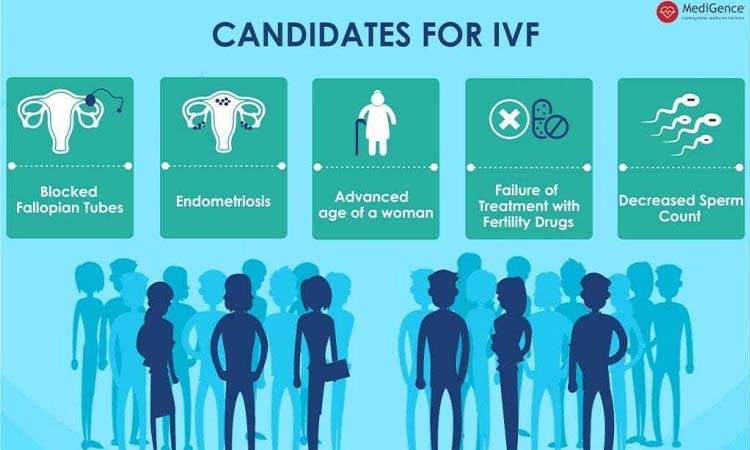 Top 5 Best IVF Doctors in Jammu with High Success Rate 2021