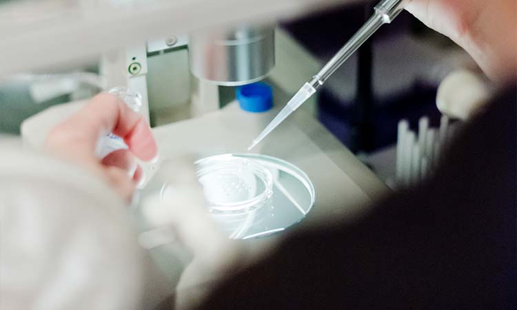 Best IVF Centres in Bharuch, Gujarat, Cost of IVF in Bharuch, Gujarat