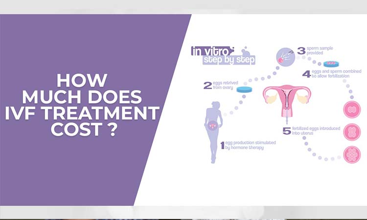 How Much Does it Cost for IVF in Kolkata India